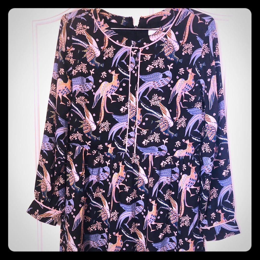 ann taylor loft dress 6 Petite